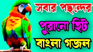 মধুর কন্ঠের একটি সেরা গজল Madhur counter akti notun gojol [upl. by Acinoreb755]