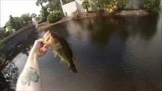 Sandestin Resort Sandestin fl golf course Bass Fishing [upl. by Eznyl]