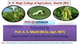 Pest of soybean and their management [upl. by Meir]