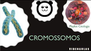 Cromossomos [upl. by Castor981]