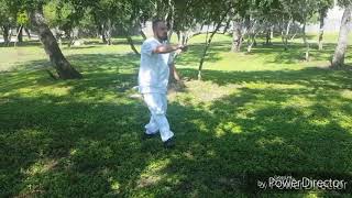 Yang 108 Taijiquan form  Sean Kovarovic  wdhc [upl. by Tyika356]