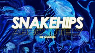 Snakehips amp Absolutely  Shades Lyric Video [upl. by Eelanej]