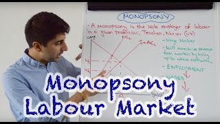 Monopsony  Labour Market Impact [upl. by Morril]