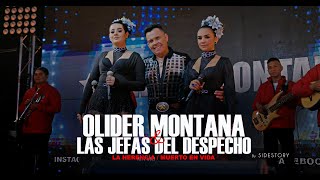 Olider Montana amp Las Jefas Del Despecho La Herencia  Muerto En Vida [upl. by Ulita587]