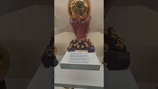 Real Madrid Ballon dOr Trophies ⚽🥇 [upl. by Kcim930]