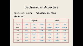 Latin for Beginners Lesson 10 FirstSecond Declension Adjectives [upl. by Jemimah332]