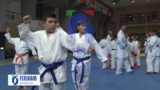 Festa della FIJLKAM Sardegna  Dimostrazioni di Karate [upl. by Anitnoc]