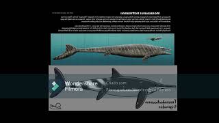 Temnodontosaurus trigonodon new size estimate in a nutshell [upl. by Crain286]