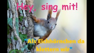 🎵🤍🐿️🧗‍♂️🌲👀quotAls Eichhörnchen da klettern wirquot Kinder u Volkslieder  Liedtext Notenlink ↓InfoBox [upl. by Lodie857]