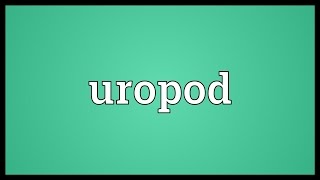 Uropod Meaning [upl. by Olgnaed]