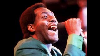 Otis Redding live  various  Monterey Pop 1967 [upl. by Cogn]