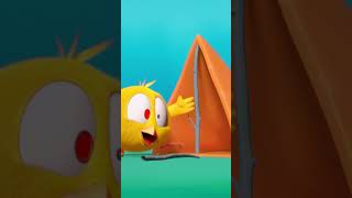 Chicky is on vacation 🏕️🐥 camping chicky cartoon cute funny [upl. by Srevart]