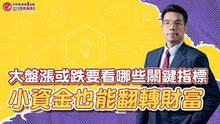 大盤漲或跌要看哪些關鍵指標，小資金也能翻轉財富  理周教育學苑  張林忠 字幕 [upl. by Ahsiemal]