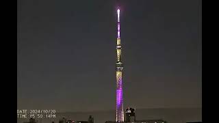 東京スカイツリーライブカメラ【雅20241020】TOKYO SKY TREE Live Camera 東京スカイツリー [upl. by Tedd]