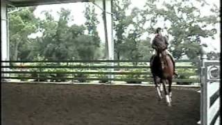 Bill Woods Dressage  Training Tempi Changes [upl. by Danziger156]