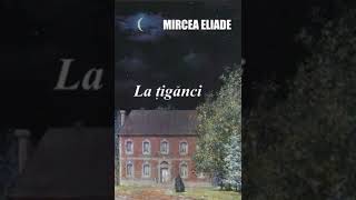 La Tiganci de Mircea Eliade caracterizare Gavrilescu [upl. by Asirrac]