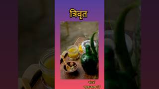 Trivrut त्रिवृत in details dravyaguna ayurveda bams plants aiapget bams2ndyearayush shorts [upl. by Nilyram]