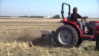 Weed Control with a Rotary Hoe [upl. by Anitsuj]