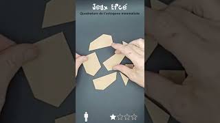 Quadrature de loctogone puzzle minimaliste en bois par jeux Efcé [upl. by Coucher952]