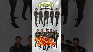 Los Tucanes De Tijuana Los Tigres Del Norte Grupo Exterminador Puros Corridos mp4 [upl. by Adnuahsor487]