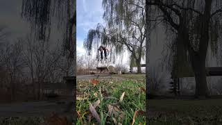 Flips Of Picknick Table flipping parkour subscribe like [upl. by Maureen]