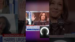 Lindy Li Is Furious  Kamala’s Zoom Call Was A Disaster [upl. by Bethesde]