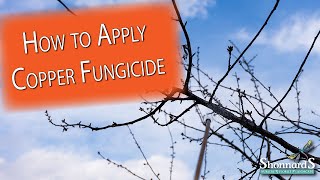 Applying Copper Fungicide [upl. by Lallage]