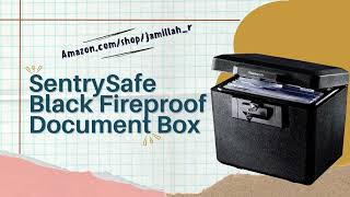 Secure Your Valuables SentrySafe Fireproof Document Box Review [upl. by Milla]