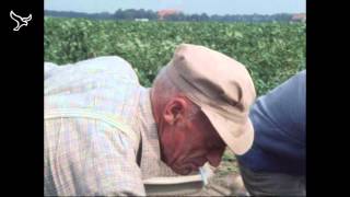 Pioniers de kolonisten van de Noordoostpolder van 19052013 [upl. by Beauregard]