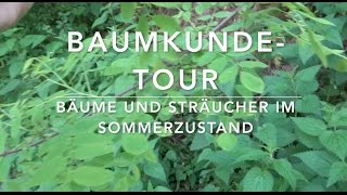 BaumkundeTour 17 Bäume und Sträucher erkennen [upl. by Nauqes]