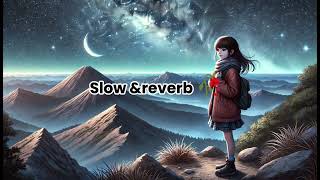 Slow amp Reverb  Bass boosted  AJ ki Raat  VIPLOFI0 [upl. by Cyler]