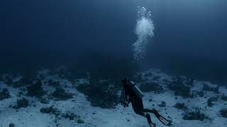 Scuba Diving from the Marshall Islands Kwajalein Atoll Trisha Dives Mann 14 October 2024 [upl. by Enaywd864]