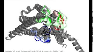 A2A Adenosine receptor with sound [upl. by Akira71]