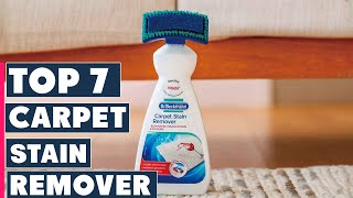 Top 7 Carpet Stain Removers for Every Household [upl. by Vere151]