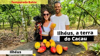 O QUE FAZER em ILHEUS ONDE COMER fazenda de cacau praia dos milionários [upl. by Kunin145]