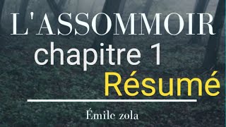 Résumé de chapitre 1  LASSOMMOIR DÉMILE ZOLA [upl. by Niad384]