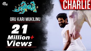 Charlie  Oru Kari Mukilinu Song Video  Dulquer Salmaan ParvathyMartin Prakkat  Official [upl. by Cone452]