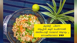 Carrot amp Apple Salad with Walnutചുമ്മാ ഒന്ന് ശ്രമിച്ചു നോക്കിയതാസംഭവം കിടിലൻlachus special [upl. by Sudnak162]