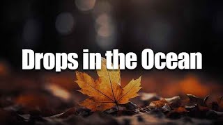 Drops in the Ocean Lyric  Hawk Nelson Citizen Way Brandon Lake [upl. by Nilyahs]