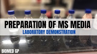 Preparation of MS Media for plant tissue culture Demonstration video [upl. by Epperson]