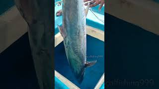 localfishing999konam chepa super virelshortvideoslocalfishing999 [upl. by Tertias]