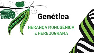 Herança Monogênica amp Heredograma [upl. by Ys]