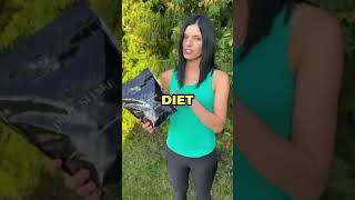 Diet shake pro 5kg za měsíc  1 balení zdarma [upl. by Xylina]