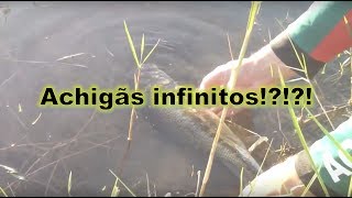 Achigãs infinitos  pesca ao achigã ao fim do dia [upl. by Marcelo]