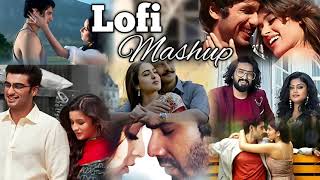 Lofi love mashup  hindi lofi songs slowed and reverb  bollywood lofi song [upl. by Gagne674]