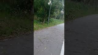 Surfskate🌊🛹Longboard Descente 🙃 🇨🇵 Chanteloup en Brie 77 Piste cyclable 🚲 [upl. by Shanna]