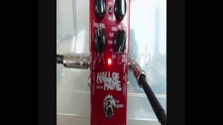 Hall of Fame Reverb Pedal  Acoustic Mandolin demo [upl. by Ailimac]