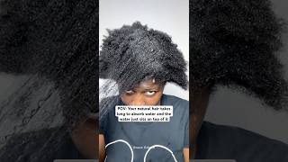 Low Porosity 4C Natural Hair4chair moisture absorption natural4chair coilyhair type4naturalhair [upl. by Tavia]