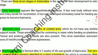 Larval Forms of EchinodermataPhylum EchinodermataZoologyBSc Zoology LectureDr Rehan Khan Sir [upl. by Baras]