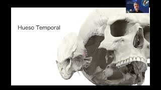 CLASE 1 ANATOMIA RADIOLOGICA NORMAL DEL HUESO TEMPORAL [upl. by Ragouzis]